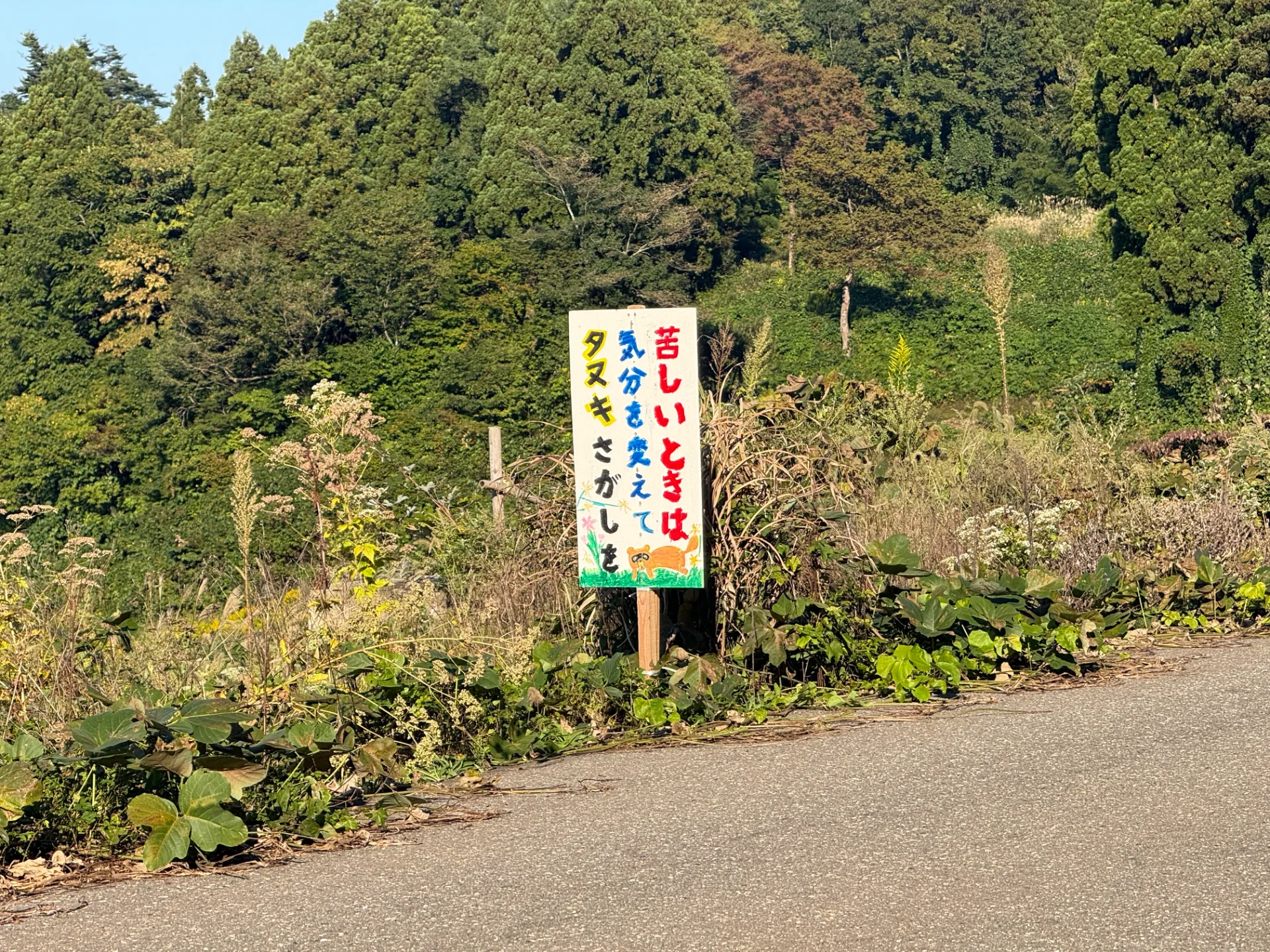 投稿画像1