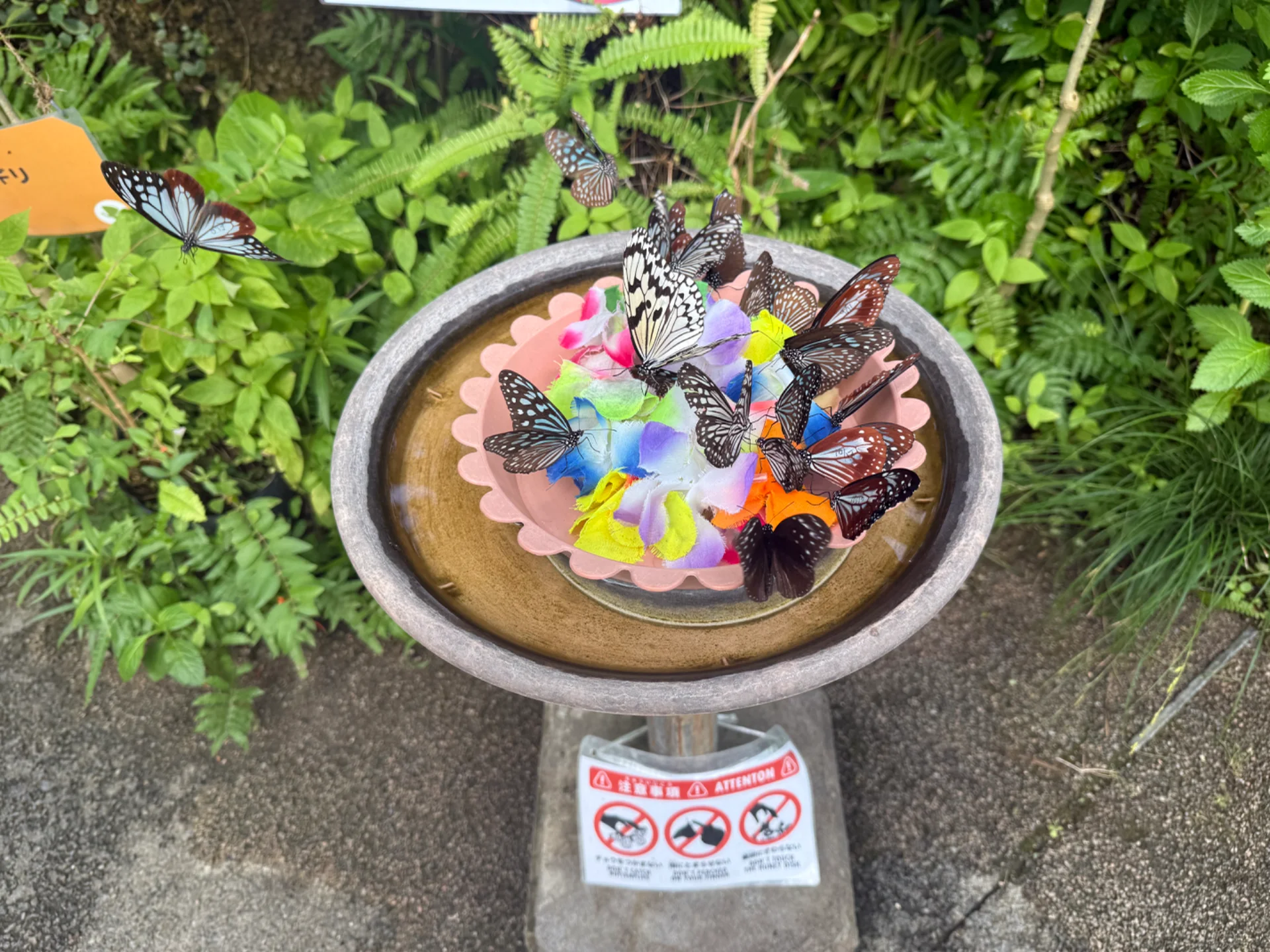 投稿画像2