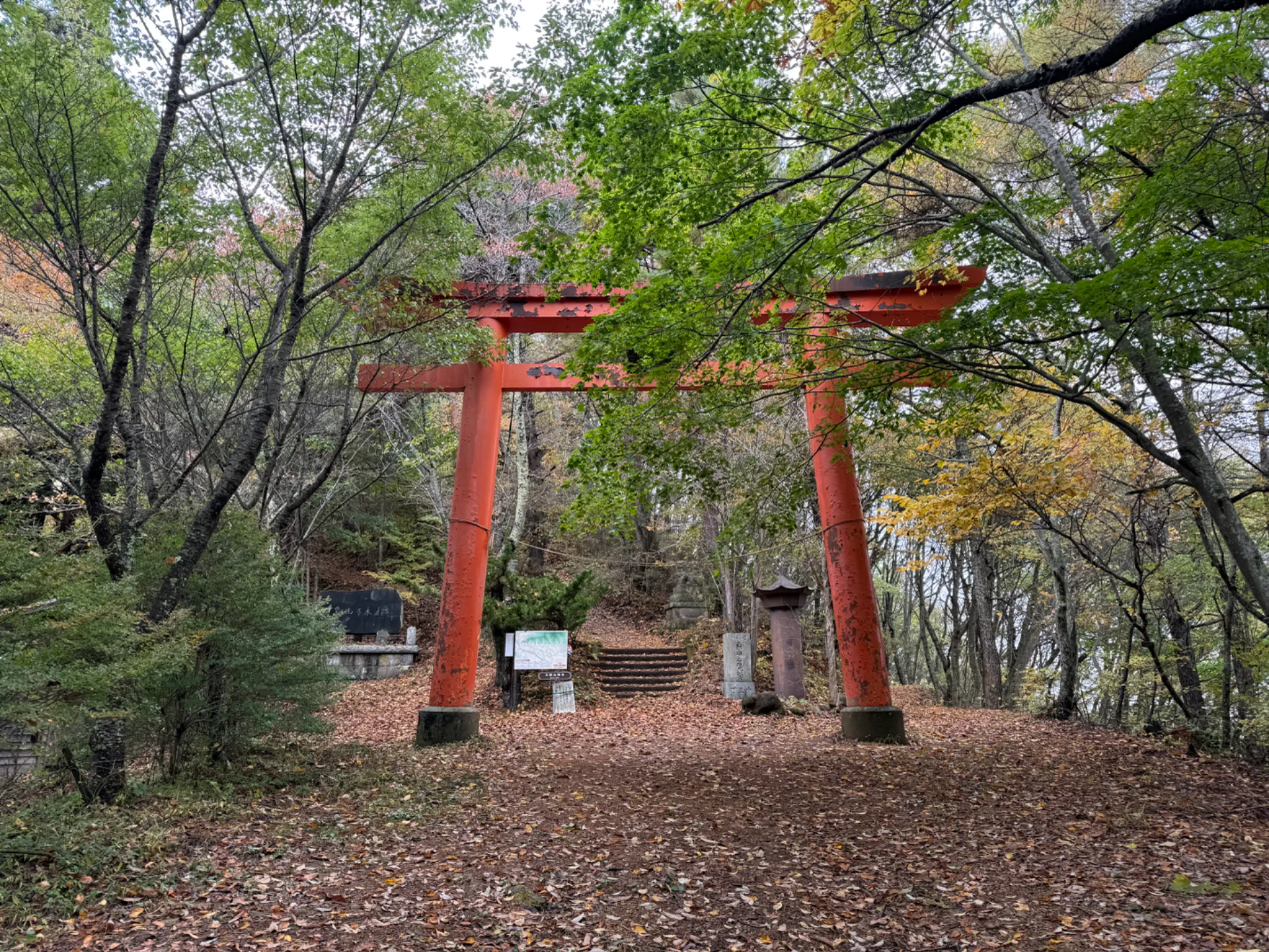投稿画像1