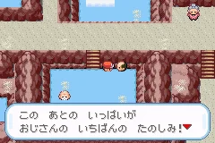 Pocket Monsters LeafGreen 023