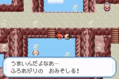 Pocket Monsters LeafGreen 024