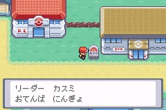 Pocket Monsters LeafGreen 030